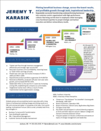 Infographic Networking Resume